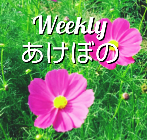 「思いは能力を超える」　これからが勝負だ！　その3